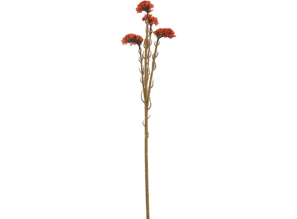 Blomst hankam høstfarger h:62cm 4ass Minimum 24 assortert 