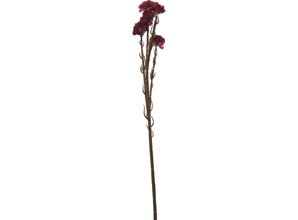 Blomst hankam høstfarger h:62cm 4ass Minimum 24 assortert 